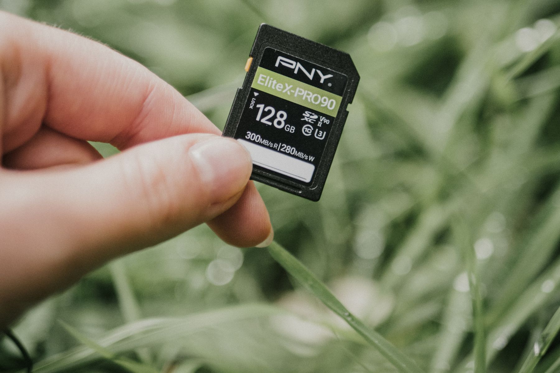 Shoot like a pro with PNY UHS-II SD Flash Memory Cards